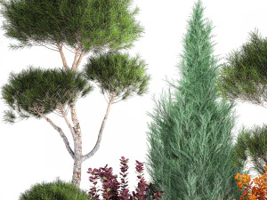 Garden Of Nivaki Thuja Juniper And Barberry 1178 3D Model