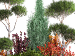 Garden Of Nivaki Thuja Juniper And Barberry 1178 3D Model