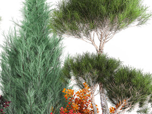Garden Of Nivaki Thuja Juniper And Barberry 1178 Model 3D