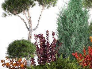 Garden Of Nivaki Thuja Juniper And Barberry 1178 3D Model