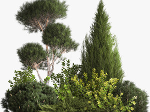 Juniper pine garden thuja and barberry bush 1179 Modèle 3D