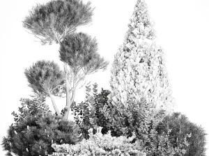 Juniper pine garden thuja and barberry bush 1179 3D Model