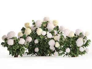 Hydrangea bushes for garden landscaping 1180 3D Model