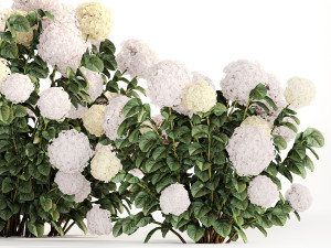 Hydrangea bushes for garden landscaping 1180 Modelo 3D