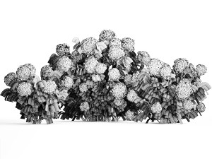 Hydrangea bushes for garden landscaping 1180 Modelo 3D