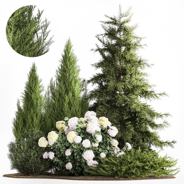 Garden Thuja Spruce Juniper And Hydrangea Bushes 1181 3D Model .c4d .max .obj .3ds .fbx .stl .blend 