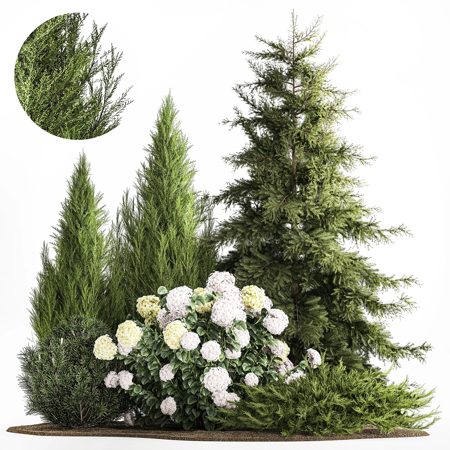 Garden Thuja Spruce Juniper And Hydrangea Bushes 1181 3D Model .c4d .max .obj .3ds .fbx .stl .blend