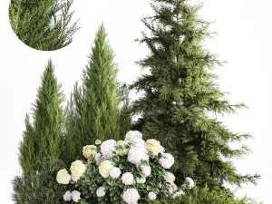 Jard&iacute;n Thuja Abeto Enebro Y Hortensias Arbustos 1181 Modelo 3D