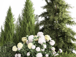 Garden Thuja Spruce Juniper And Hydrangea Bushes 1181 3D Model