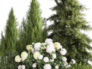 Garden Thuja Spruce Juniper And Hydrangea Bushes 1181 3D Model