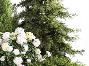 Garden Thuja Spruce Juniper And Hydrangea Bushes 1181 3D Model