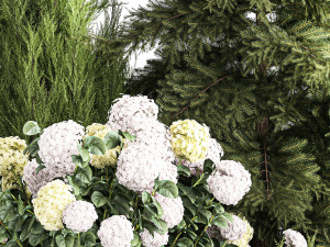 Garden Thuja Spruce Juniper And Hydrangea Bushes 1181 3D Model