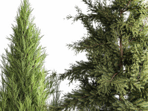Garden Thuja Spruce Juniper And Hydrangea Bushes 1181 3D Model