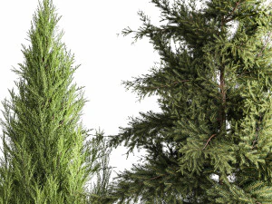 Garden Thuja Spruce Juniper And Hydrangea Bushes 1181 3D Model