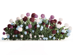 Hydrangea Bushes For Garden Landscaping 1183 Model 3D