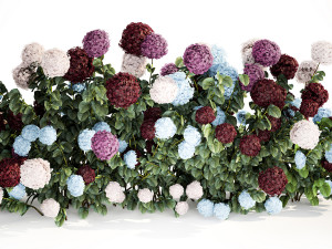 Hydrangea Bushes For Garden Landscaping 1183 Model 3D