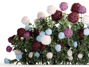 Hydrangea Bushes For Garden Landscaping 1183 Model 3D