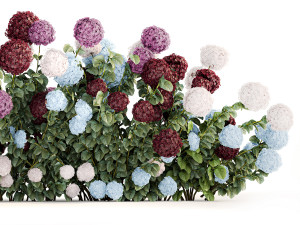 Hydrangea Bushes For Garden Landscaping 1183 Model 3D