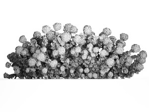 Hydrangea Bushes For Garden Landscaping 1183 Model 3D