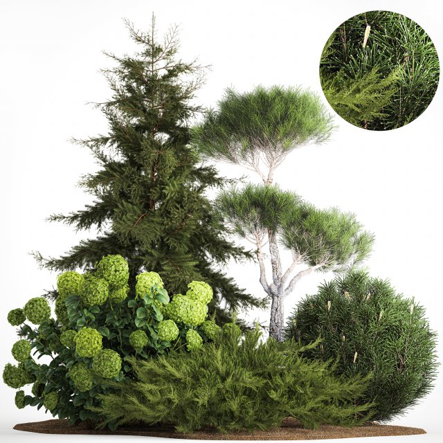 Spruce and pine topiary with hydrangea bushes for the garden 1186 3D 模型 .c4d .max .obj .3ds .fbx .stl .blend 