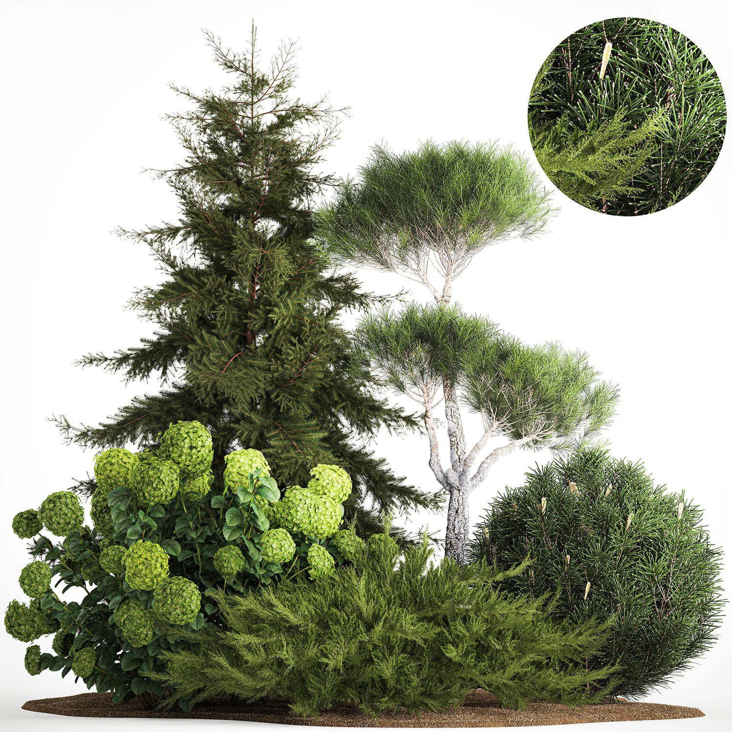 Spruce and pine topiary with hydrangea bushes for the garden 1186 3D Model .c4d .max .obj .3ds .fbx .stl .blend 
