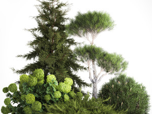 Spruce and pine topiary with hydrangea bushes for the garden 1186 3D 模型