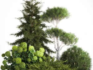 Spruce and pine topiary with hydrangea bushes for the garden 1186 3D Model