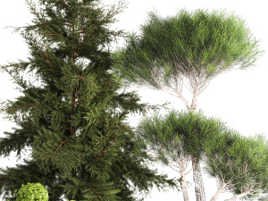 Spruce and pine topiary with hydrangea bushes for the garden 1186 3D 模型