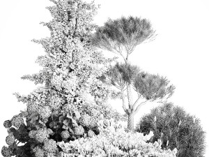 Spruce and pine topiary with hydrangea bushes for the garden 1186 3D 模型