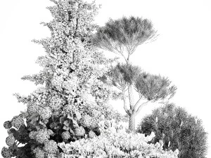 Spruce and pine topiary with hydrangea bushes for the garden 1186 3D Model