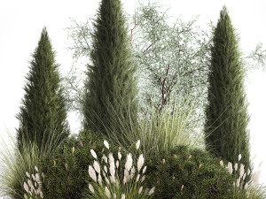 Trees And Bushes For The Garden Spruce Thuja 1188 3D Model