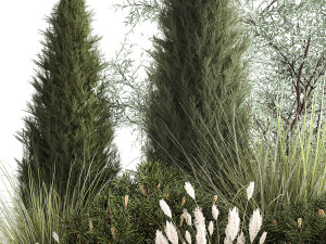 Trees And Bushes For The Garden Spruce Thuja 1188 3D Model