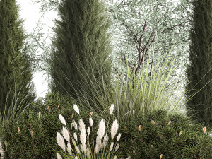 Trees And Bushes For The Garden Spruce Thuja 1188 3D Model