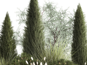 Trees And Bushes For The Garden Spruce Thuja 1188 3D Model