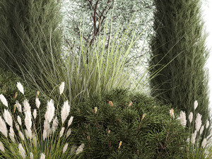 Trees And Bushes For The Garden Spruce Thuja 1188 3D Model