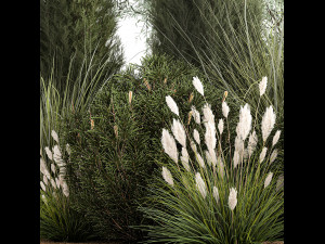 Trees And Bushes For The Garden Spruce Thuja 1188 3D Model