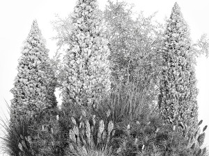 Trees And Bushes For The Garden Spruce Thuja 1188 3D Model
