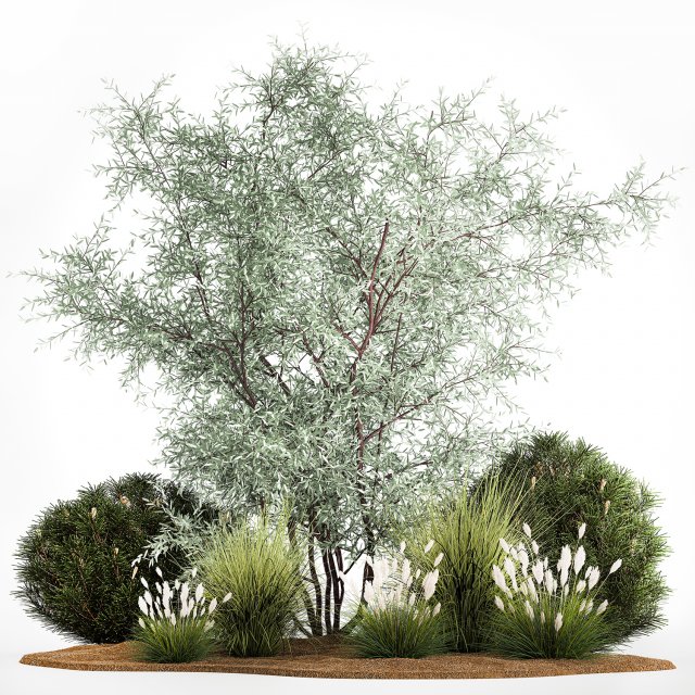 Elaeagnus Topiary And Bushes For The Garden 1189 3D Model .c4d .max .obj .3ds .fbx .stl .blend