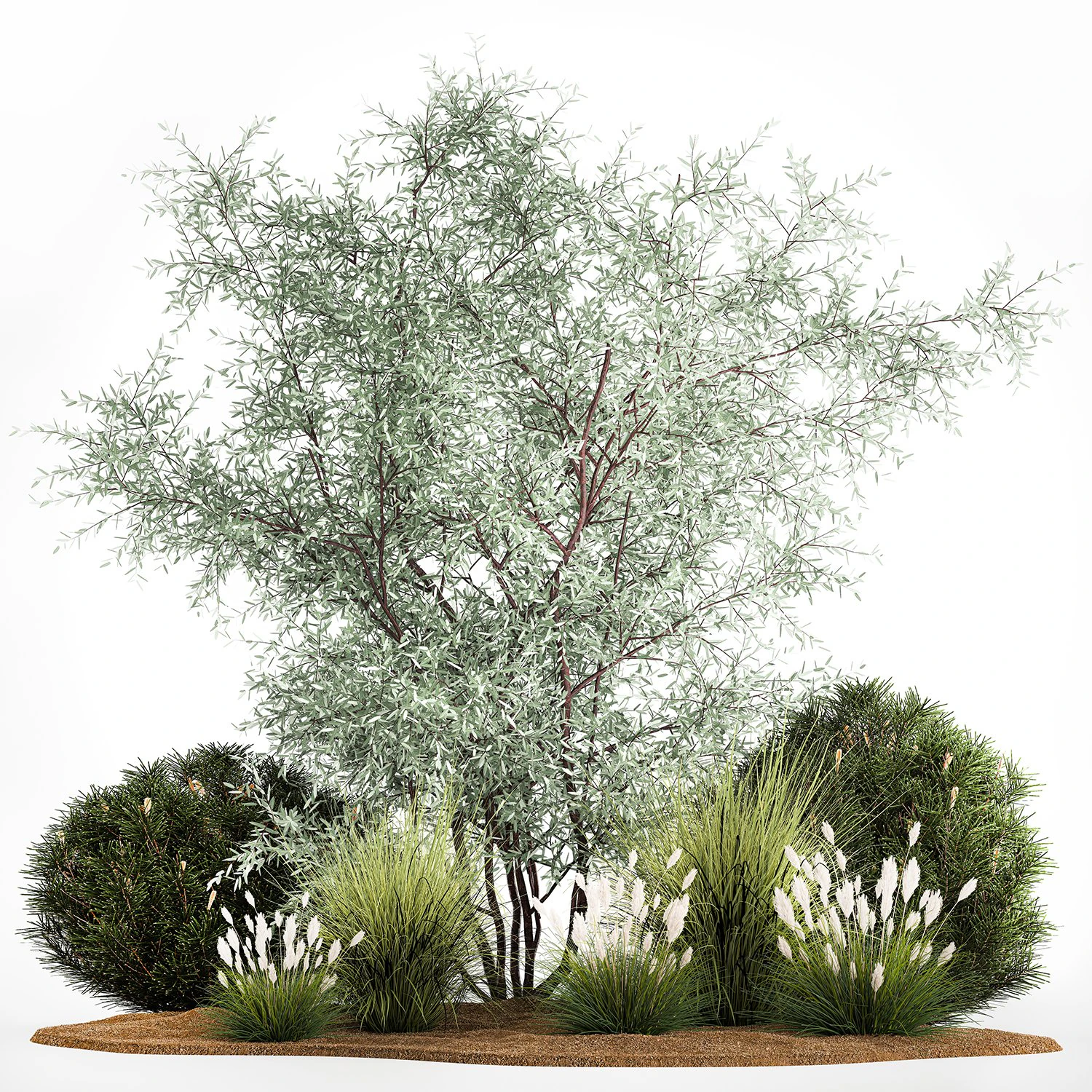 Elaeagnus Topiary And Bushes For The Garden 1189 3D Model .c4d .max .obj .3ds .fbx .stl .blend 