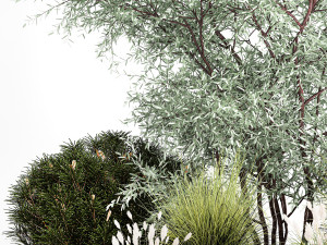 Elaeagnus Topiary And Bushes For The Garden 1189 3D Model