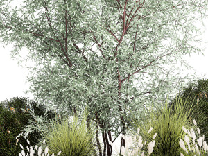 Elaeagnus Topiary And Bushes For The Garden 1189 3D Model