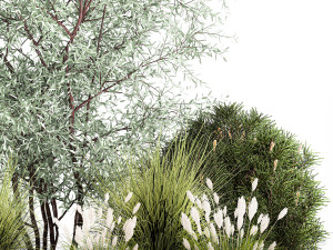 Elaeagnus Topiary And Bushes For The Garden 1189 3D Model