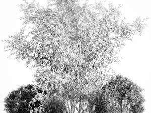Elaeagnus Topiary And Bushes For The Garden 1189 3D Model