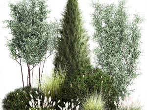 Trees And Bushes For The Garden Spruce Thuja 1190 3D Model