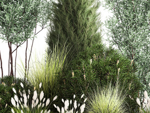 Trees And Bushes For The Garden Spruce Thuja 1190 3D Модель