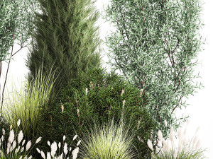 Trees And Bushes For The Garden Spruce Thuja 1190 3D Модель