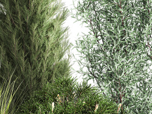 Trees And Bushes For The Garden Spruce Thuja 1190 3D Модель