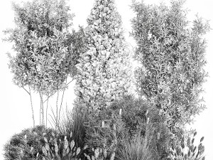 Trees And Bushes For The Garden Spruce Thuja 1190 3D Модель
