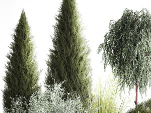 Trees And Bushes For The Garden Spruce Thuja 1192 Modelo 3D