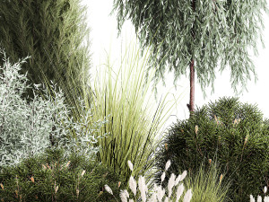 Trees And Bushes For The Garden Spruce Thuja 1192 Modelo 3D